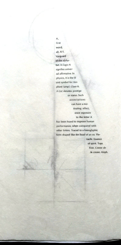 5.A.Musings.shapedtype.R copy